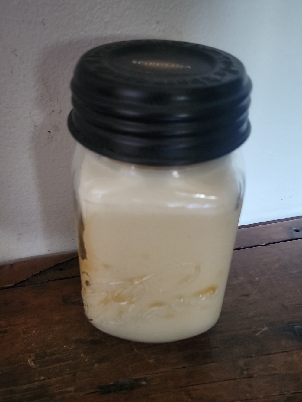 The Barn "Spirulina" Scented Candle